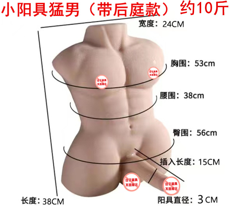 Gay Male Doll Half-body Sex Toy thumbnail 10