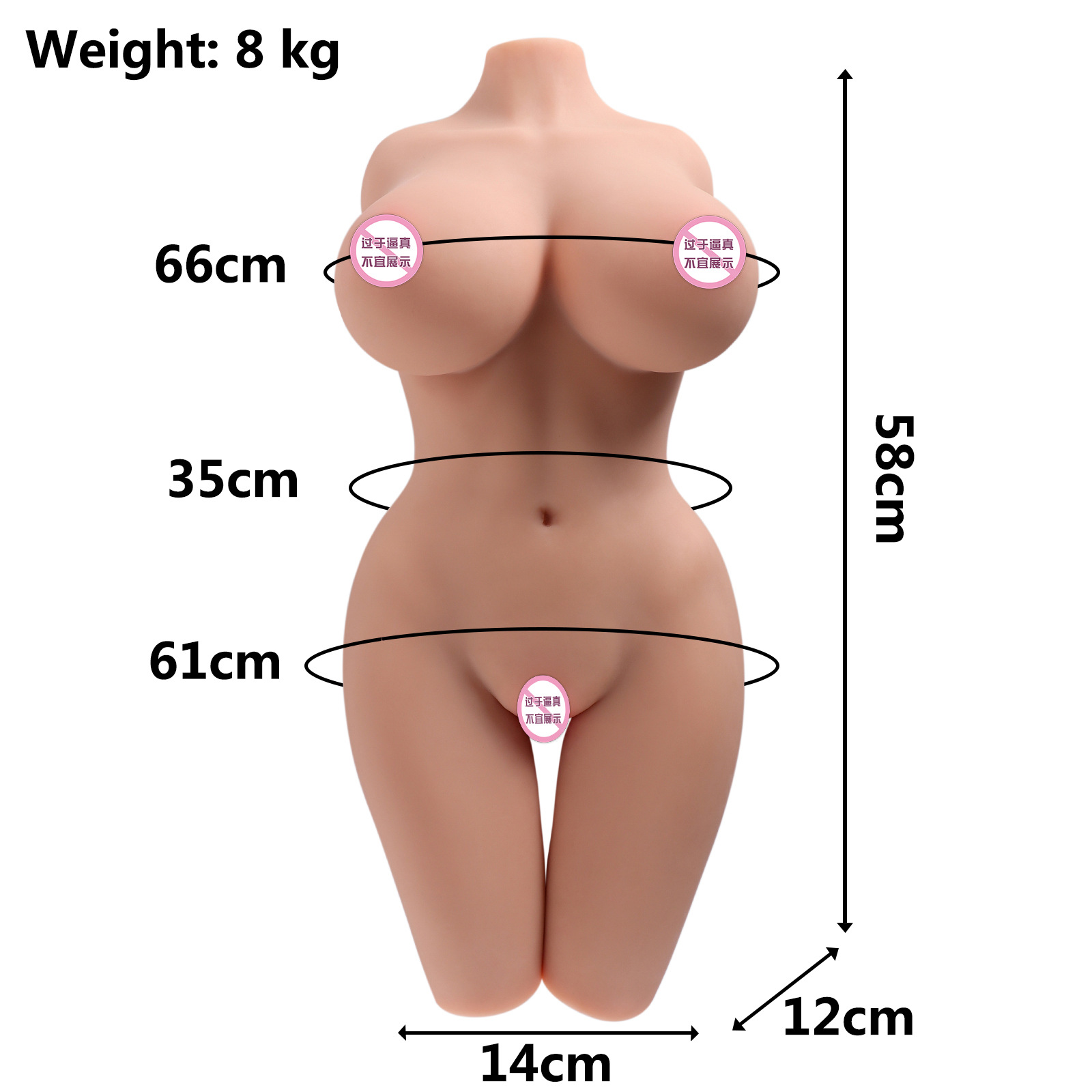 Half-Body Male Doll with Legs and Skeleton thumbnail 7
